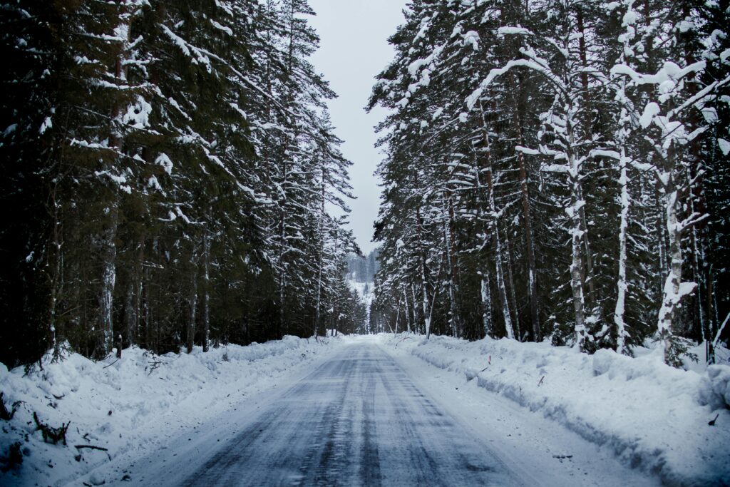 A serene snowy road through a winter forest lined with tall trees.